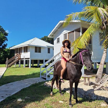 Horse Cottage Sarteneja Zewnętrze zdjęcie