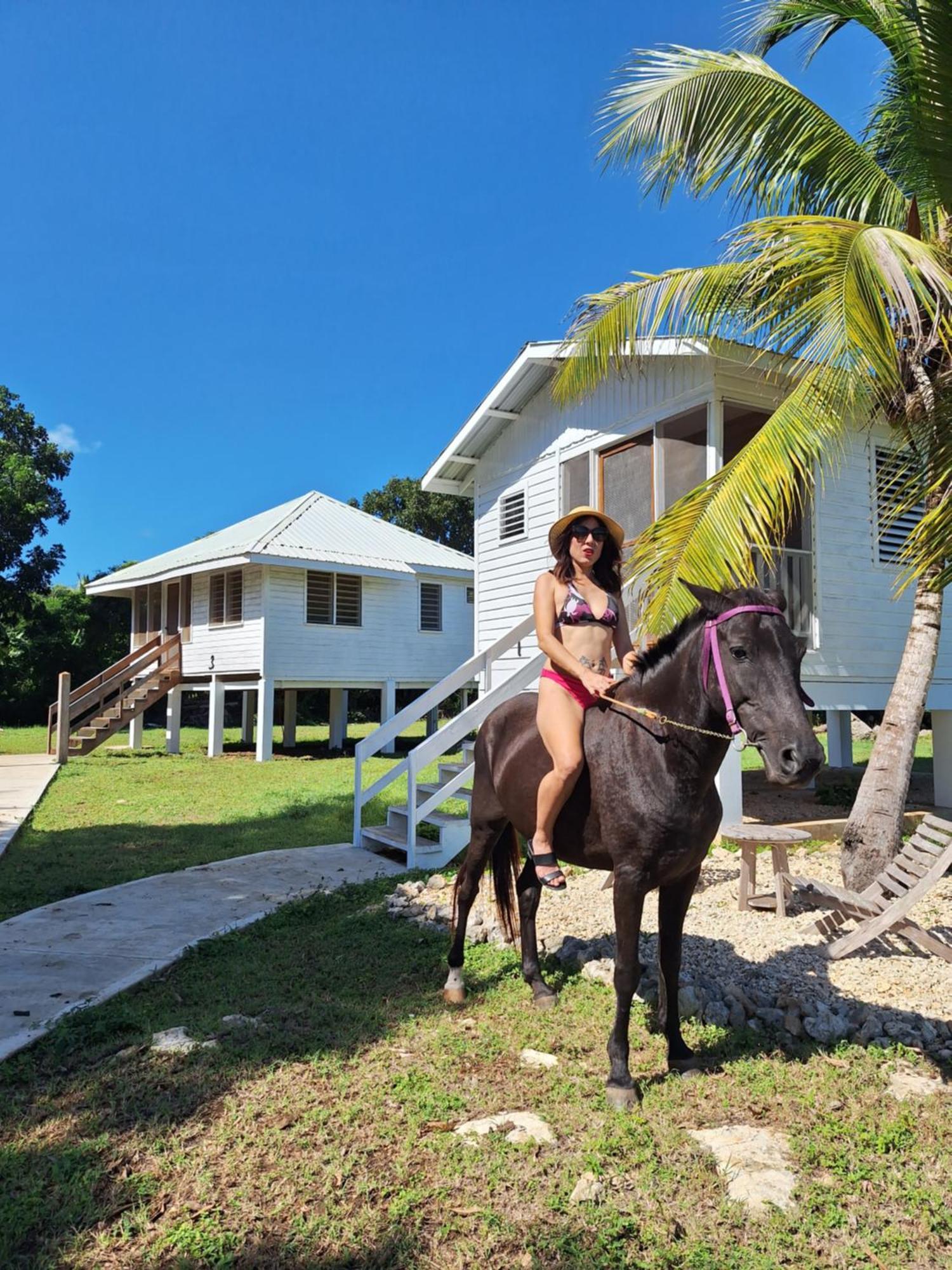 Horse Cottage Sarteneja Zewnętrze zdjęcie