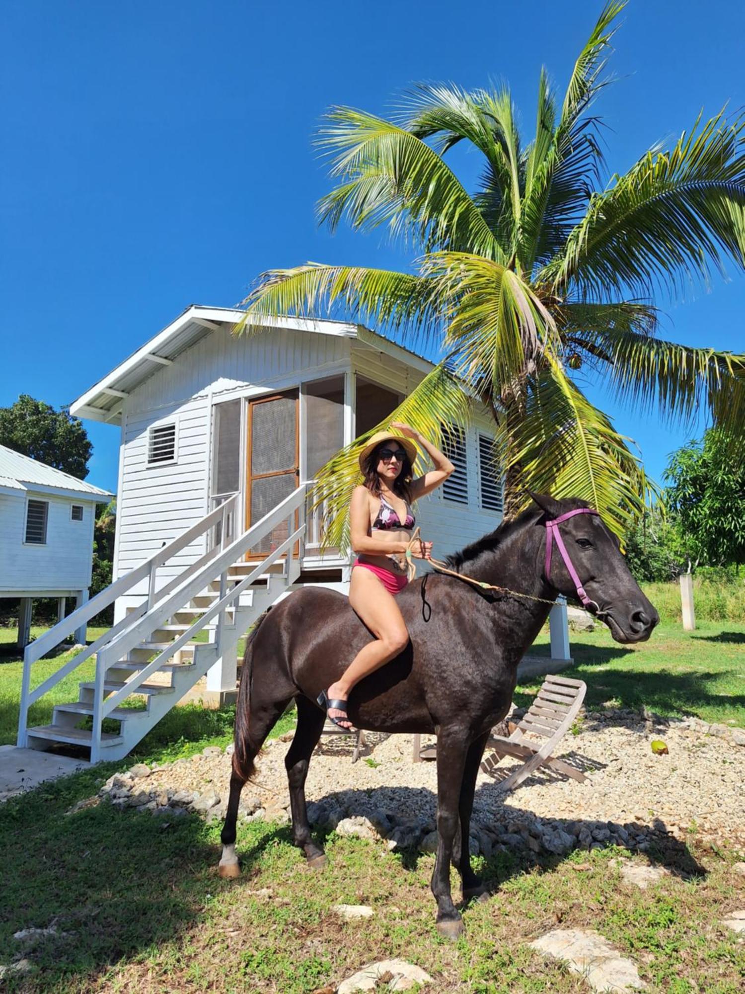 Horse Cottage Sarteneja Zewnętrze zdjęcie