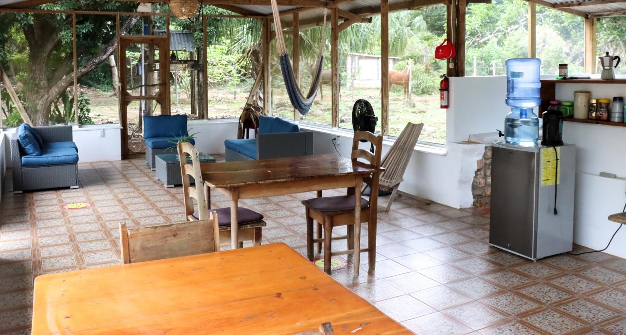 Horse Cottage Sarteneja Zewnętrze zdjęcie