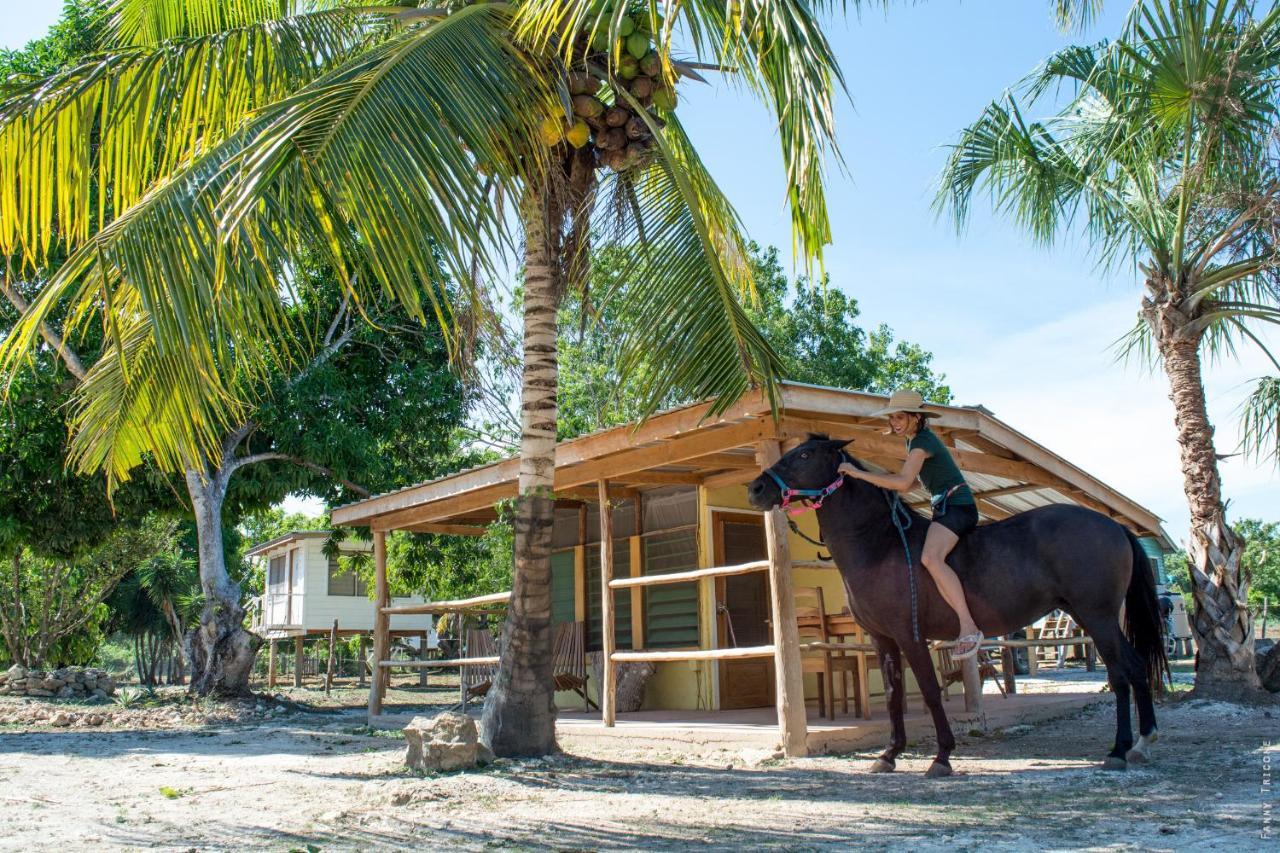 Horse Cottage Sarteneja Zewnętrze zdjęcie
