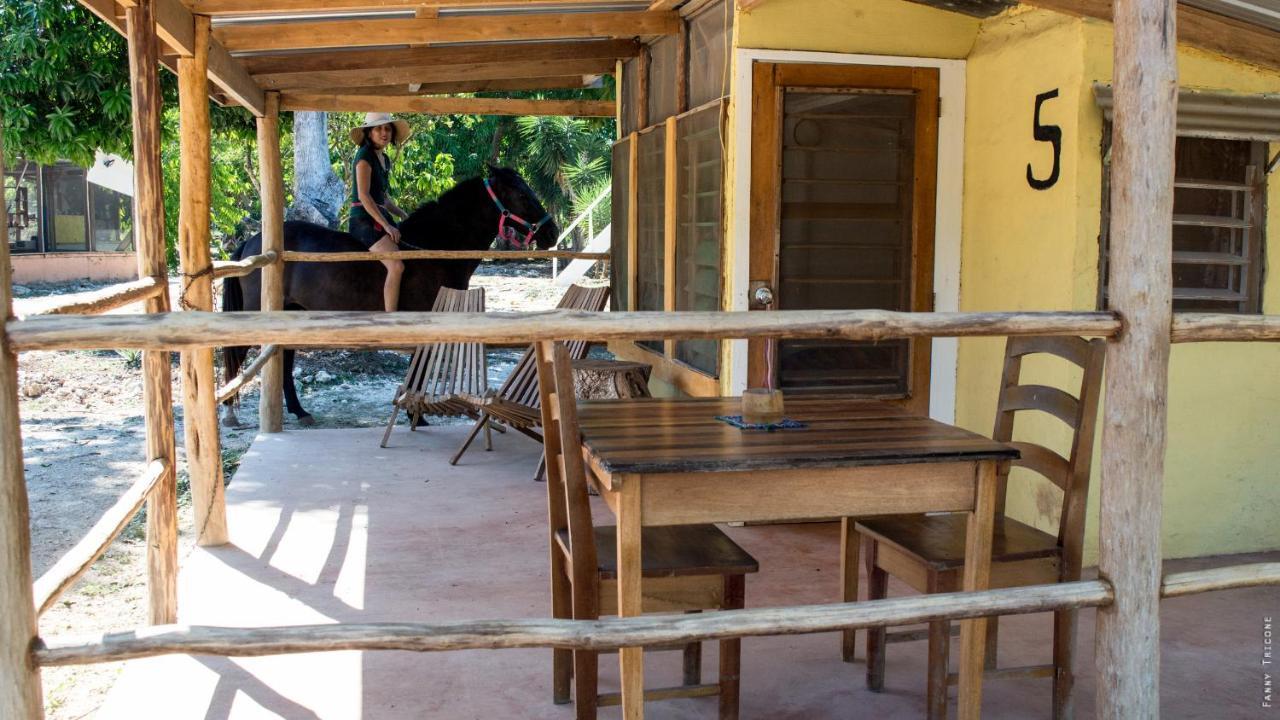 Horse Cottage Sarteneja Zewnętrze zdjęcie